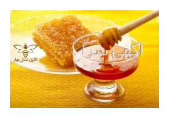 فروش عسل طبیعی | ژل رویال فروش انواع محصولات مرتبط با عسل عسل طبیعی