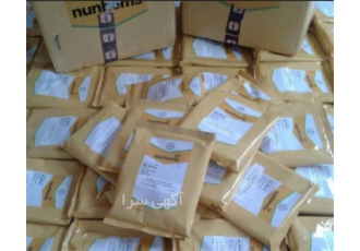 عرضه بذر خیار ویولا قیمت ویژه در کرج بذر خیار ویولا دارای بوته ای