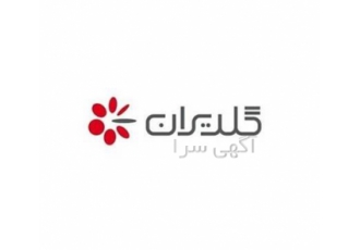 نمایندگی انحصاری پکیج گلدیران GOLDIRAN