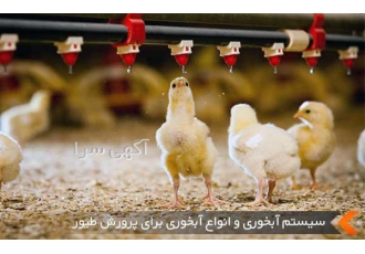 قیمت آبخوری مرغ طیور در تهران قیمت آبخوری مرغ چند است و انواع آبخوری