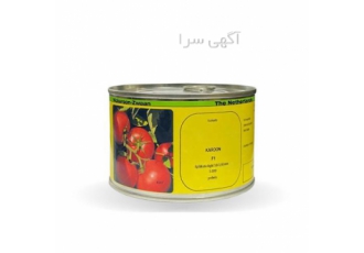 بذر گوجه کارون در سنندج بذر گوجه کارون از جمله بذر های پر بار موجود