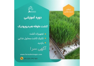 آموزش صفر تا صد دوره آموزشی گلخانه هیدروپونیک