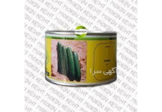 بذر خیار سوپرینا _بذر پر بار