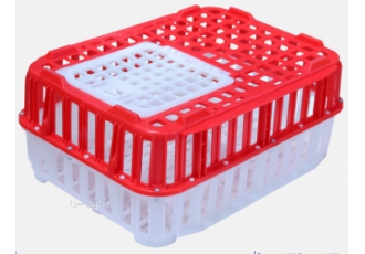 فروش قفس مرغ زنده صنعتی وصادرات قفس های مرغ زنده وبلدرچین با کیفیت