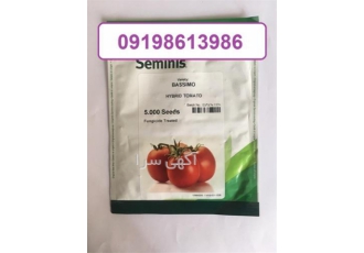 بذر گوجه فرنگی باسیمو - پرفروش ترین بذر