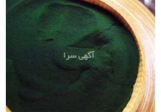 واردات و فروش رنگ کلروفیل پودری ۹۹ درصد و پنجاه درصد در تهران واردات