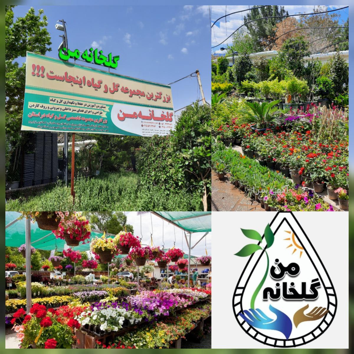 آگهی های گل و گیاه - خراسان رضوی
