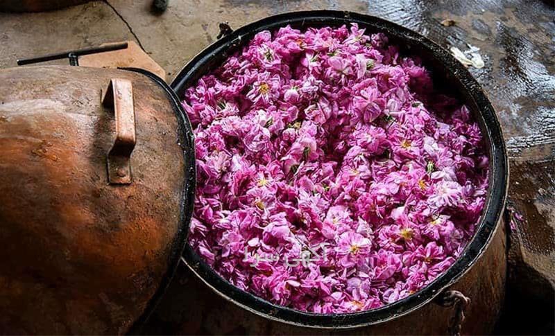 ماشین تصادفی آدمی