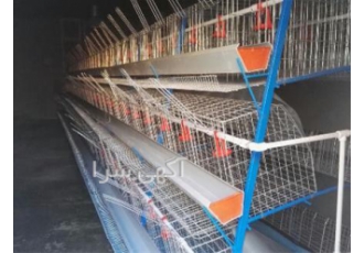 قیمت فروش قفس مرغ تخمگذار منبری نو و دست دوم طیور در تهران فروش قفس