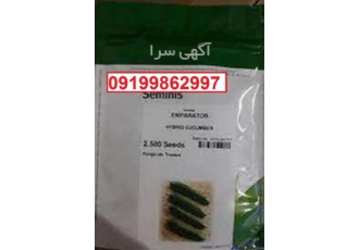 بذر خیار امپراطور پرفروش اصل ...