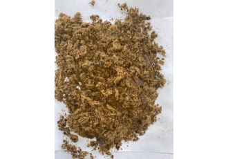 کنجاله پنبه دانه کنجاله پنبه دانه وارداتی گمرگات شمال بصورت کامیونی