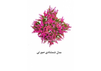 دیوار سبز و چمن مصنوعی