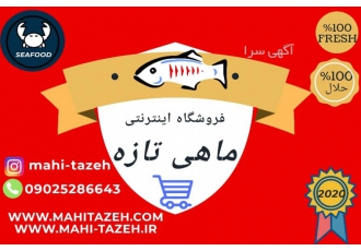 فروشگاه اینتر نتی ماهی تازه فروشگاه انلاین ماهی تازه عرضه انواع آبزیان