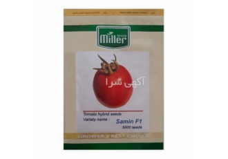 فروش بذر گوجه فرنگی ثمین ، گوجه سانسید 6189