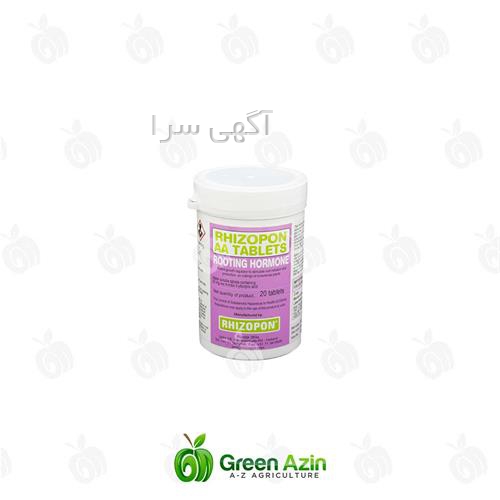 گلخانه کاکتوس