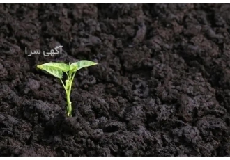 فروش خاک و کود هوموس در تهران فروش خاک و کود هوموس برای انواع مصارف