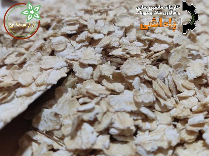 واردات ذرت و جو دامی