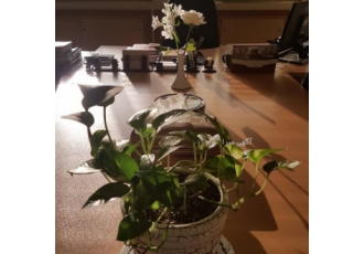 خدمات مالی ثبت اظهارنامه اشخاص حقیقی حقوقی