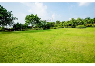 Selling land in Niavaran در تهران Sale of land in a large area 2480