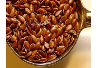 فروش عمده تخم کتان (بزرک) روسیه