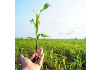 فروش شرکت رتبه ۵ کشاورزی و فضای سبز واگذاری شرکت رتبه 5 کشاورزی و فضای