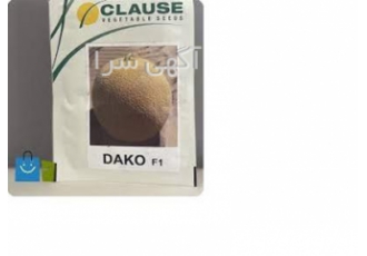 بذر ملون داکو