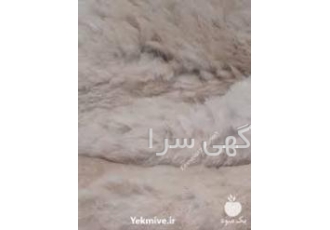 کورک سفید کورک بز درجه 1 سفید