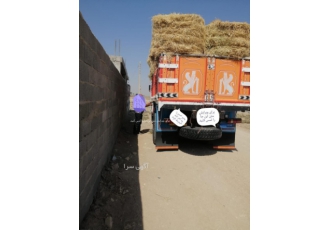 پوشال رول شده جهت هندوانه و خربزه باسلام وعرض ادب پوشال رول شده جهت