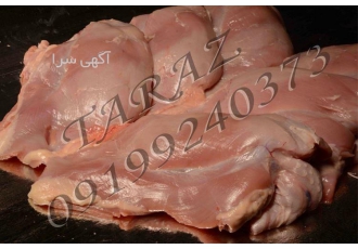 فروش سینه بوقلمون گوشتی ، فروش گوشت بوقلمون تازه