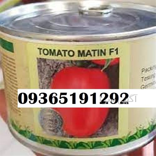 آگهی های بذر و نهال - فاضل آباد