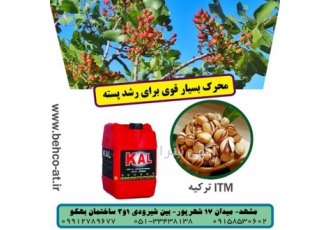 فروش انواع مایع مرغی خارجی و داخلی با کیفیت تضمینی در مشهد فروش انواع