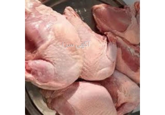 توزیع گوشت بوقلمون در سراسر کشور در شیراز امیران استار در زمینه توزیع