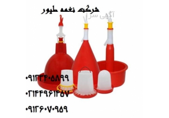آبخوری بوقلمون نغمه تورنگ طلایی طیور در تهران آبخوری بوقلمون دسته