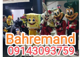 عروسک ساز حرفه ای صدا و سیما خانم بهره مند تولید فروش و کرایه انواع تن