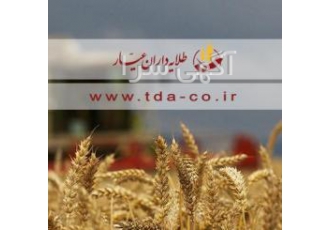 خرید و فروش گندم داخلی و وارداتی شرکت طلایه دارن عیار در زمینه واردات
