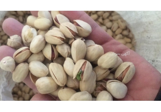 فروش مستقیم انواع پسته درود بر همه عزیزان فروش مستقیم انواع پسته