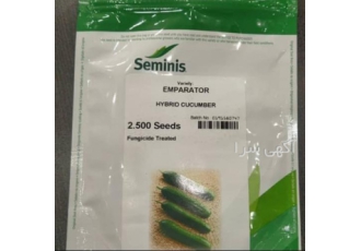 بذر خیار امپراطور سمینیس در شیراز بذر خیار امپراطور بسیار پرمحصول