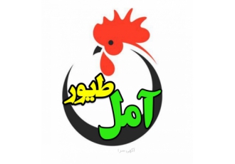 پودر جوجه ارزان ابنجانب علی واحدی کارشناس نظام مهندسی کشاورزی و مدیر
