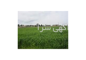 فروش زمین 20 هکتاری در بندر امیر آباد بهشهر