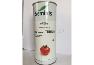 بذر گوجه فرنگی ۸۳۲۰ در بندرعباس بذر گوجه سانسید 6189 بذر گوجه 8320