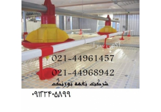 فروش دانخوری و آبخوری بوقلمون