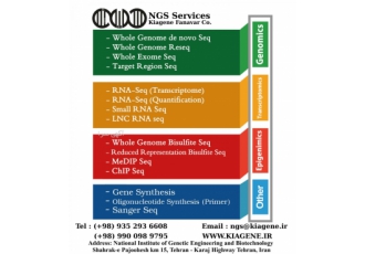 خدمات توالی یابی NGS خدمات توالی یابی NGS با بهترین کیفیت و نازلترین