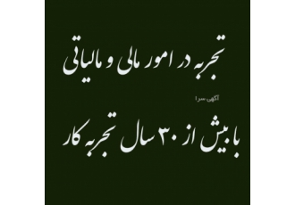 خدمات مالی و مالیاتی انجام کلیه امور مالی و مالیاتی بصورت دور کاری توسط