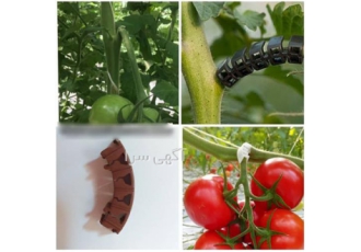 فروش گیره پشتیبان خوشه با کیفیت در تهران گیره پشتیبان خوشه در زمان