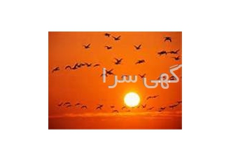فروش زمین ساحلی ۵۰ هکتاری در شمال در بهشهر یک قطعه زمین سا حلی به مسا
