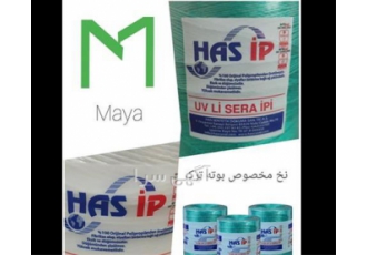 فروش نخ بوته سبز و سفید