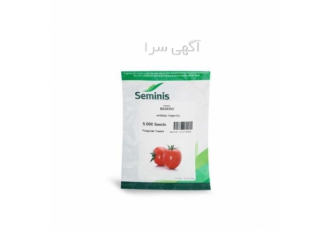 فروش بذر گوجه بدرو اصل در دلند بدرو رقمی پربار و سفت مناسب صادرات