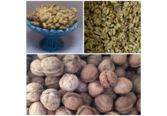 گردو و مغز گردوی تویسرکان