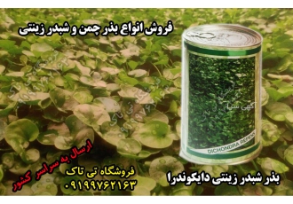انواع بذر چمن و شبدر زینتی تی تاک
