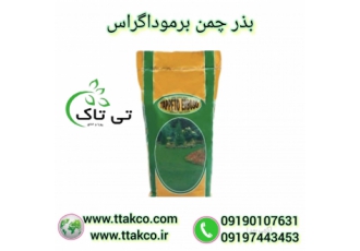 بذر چمن برموداگراس بذر چمن خارجی بذر چمن آفریقایی انواع بذر چمن اسپرت